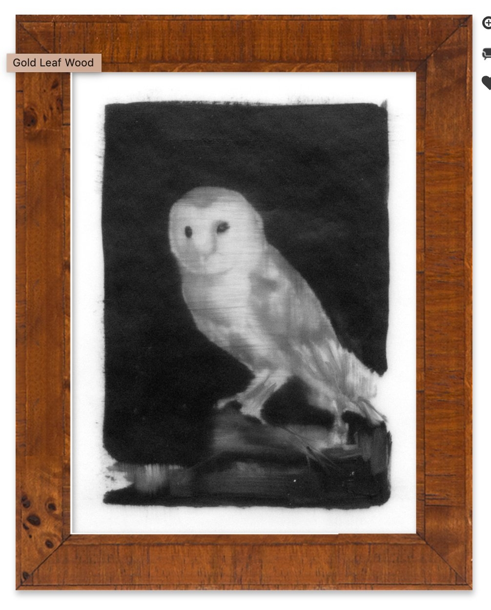 Owl - Image 0