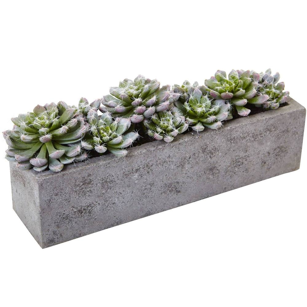 5.5” Succulent Garden w/Textured Concrete Planter - Image 0