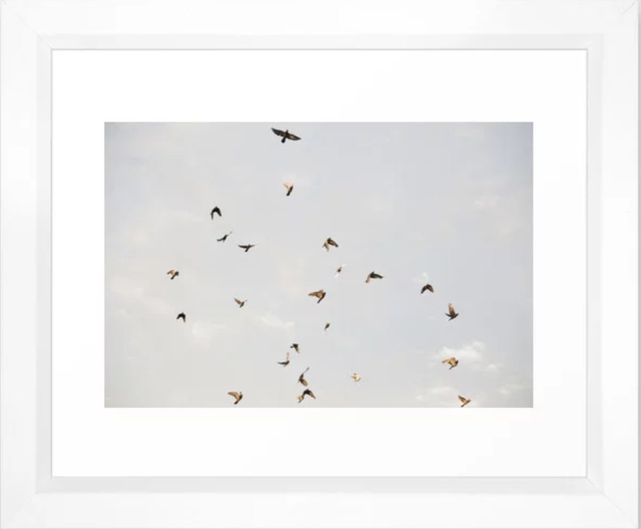 Birds In The Sky Framed Art Print - Image 0