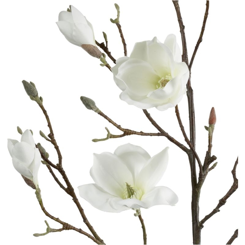 Magnolia Flower Branch - Image 7