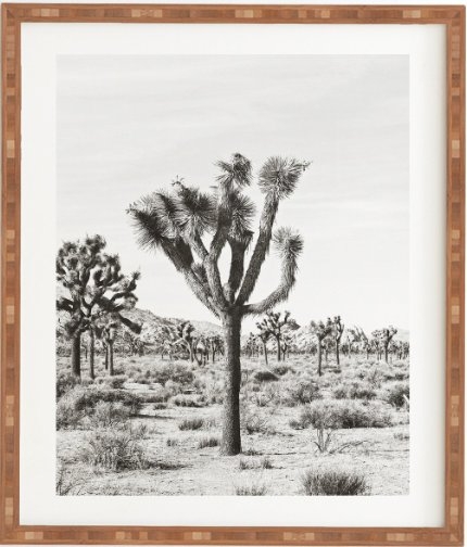 JOSHUA TREES - 14" x 16.5" - Image 0