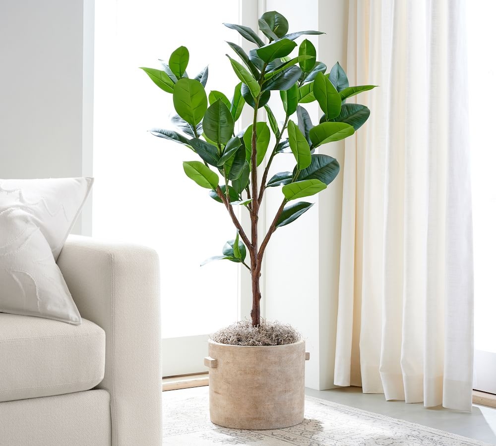 Faux Potted Rubber Tree, 51.5" - Image 2
