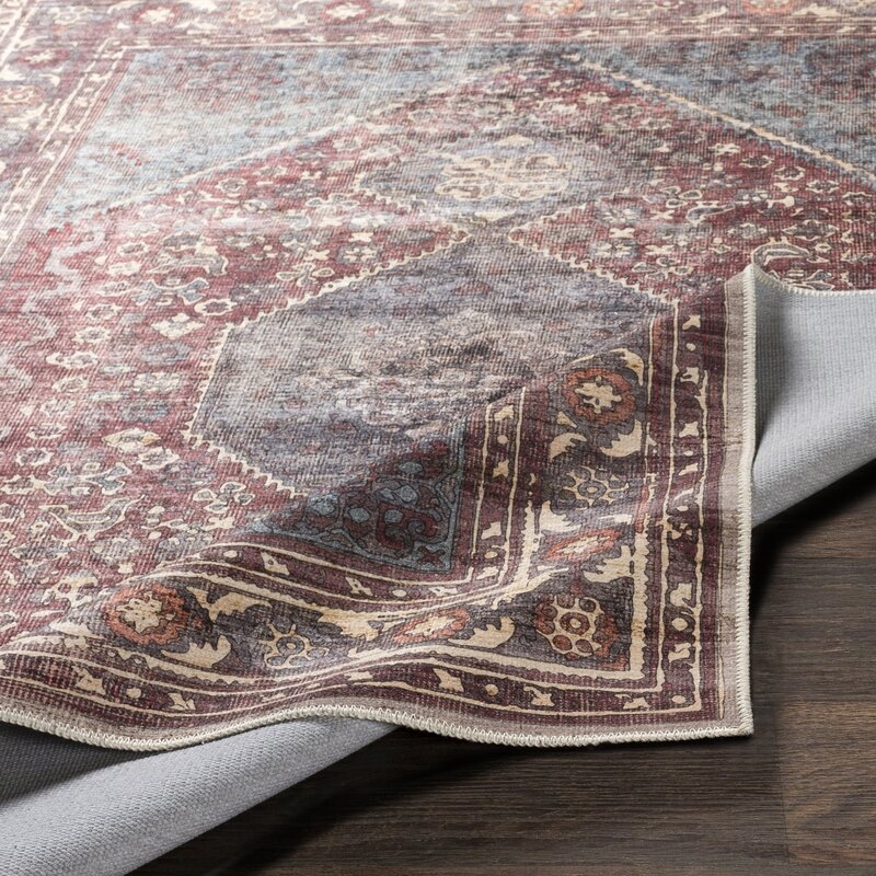 Mya Distressed Traditional Handwoven Red/Brown Area Rug - Image 2