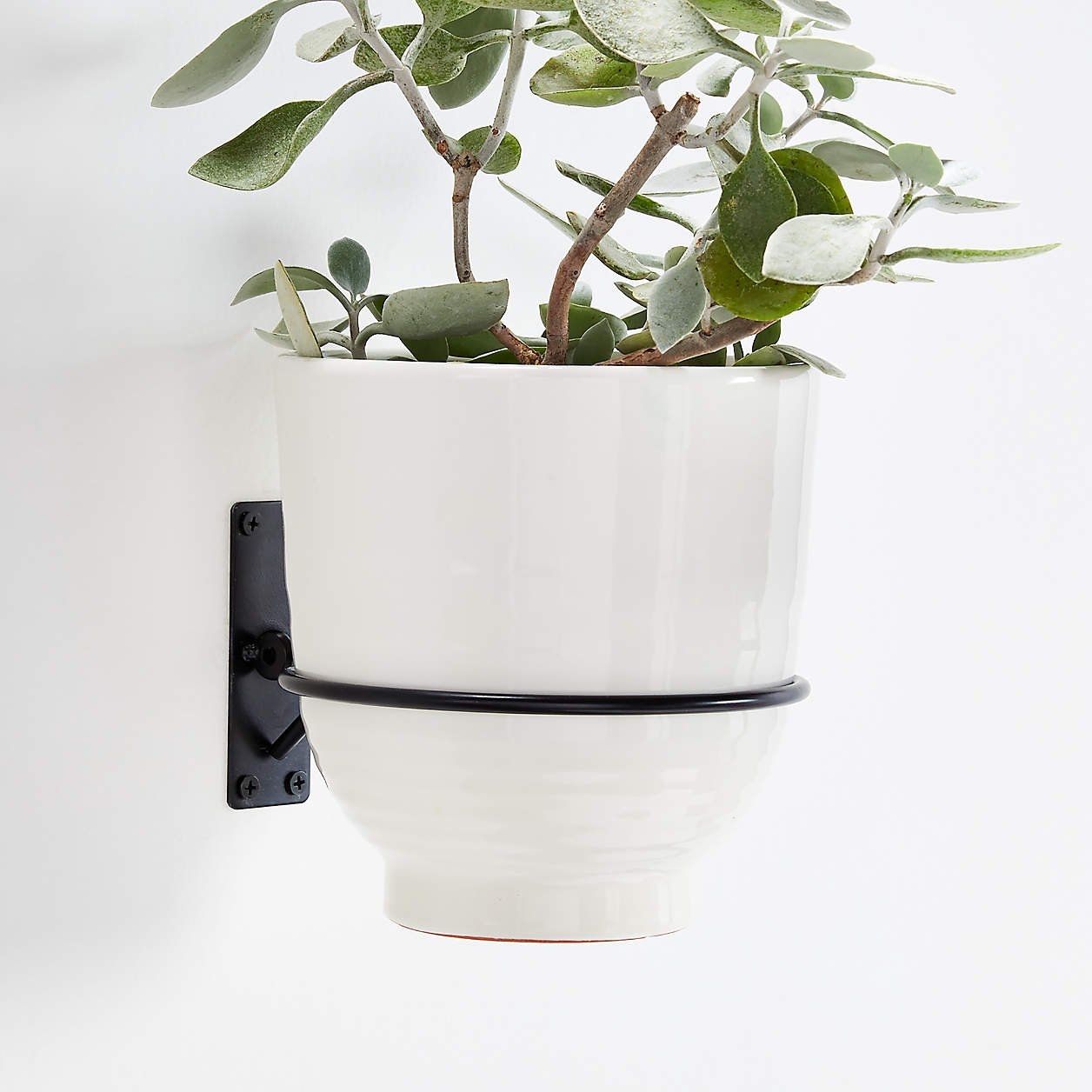Wall Planter Hook - Crate and Barrel - Image 1