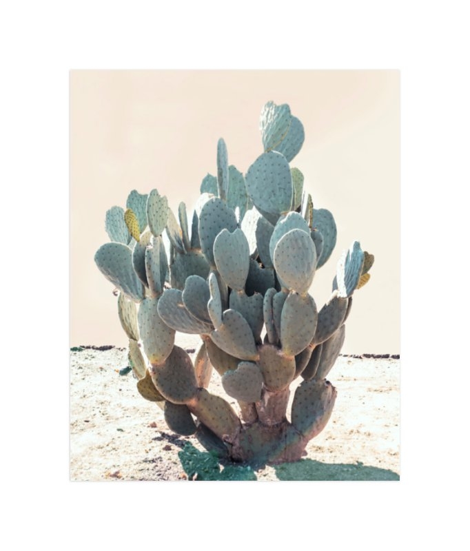 blue cactus print- 8"x10" white boarder - Image 0