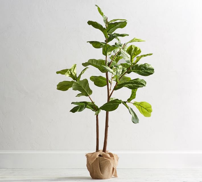 Faux Potted Fiddle Leaf Fig Tree, Small, 5' - Image 0
