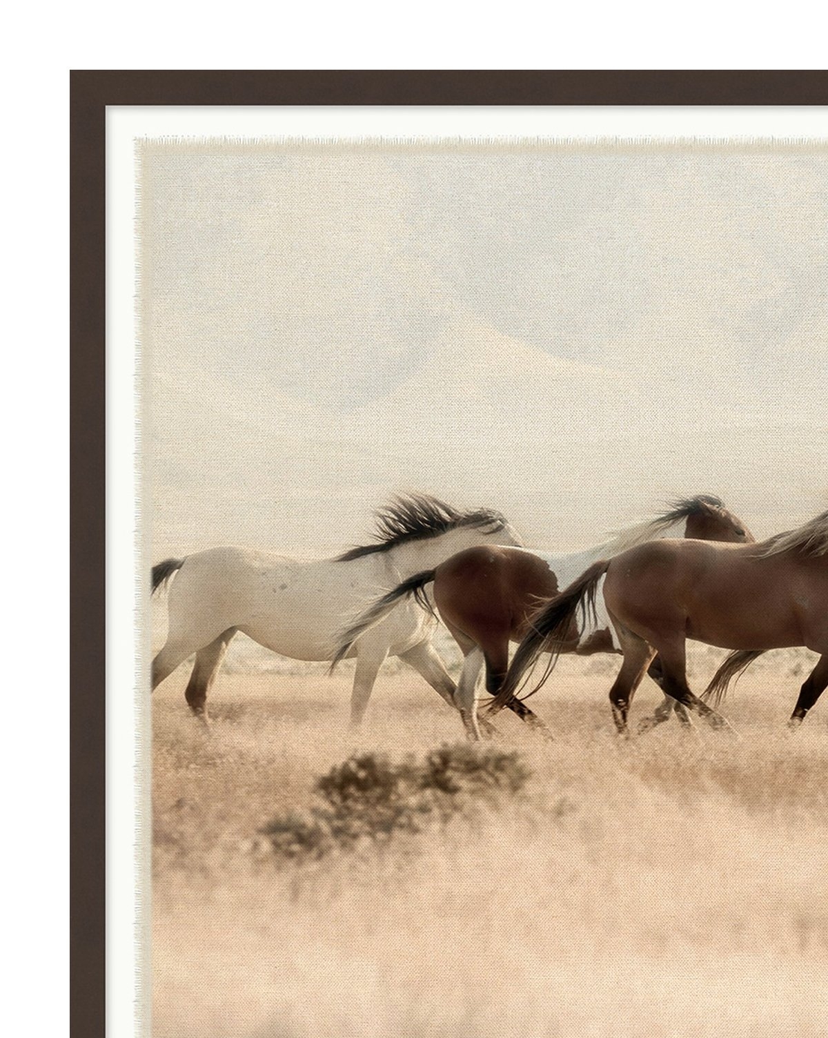 WILD HORSES Framed Art - Image 1