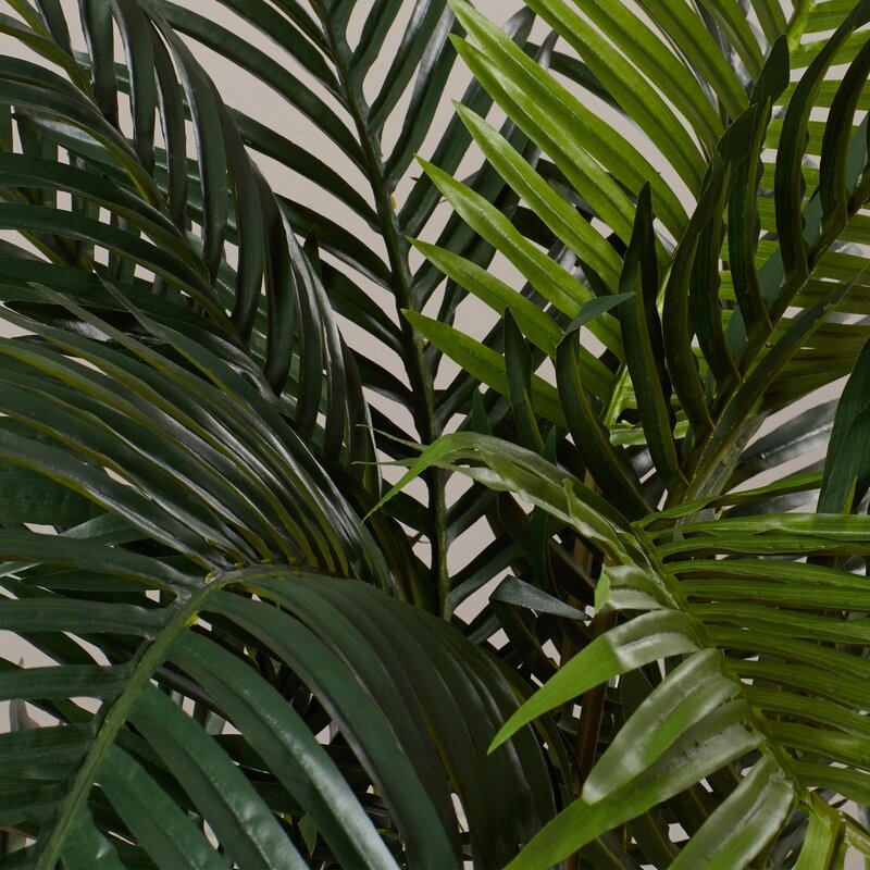 Esters Floor Palm Plant in Pot - Image 2