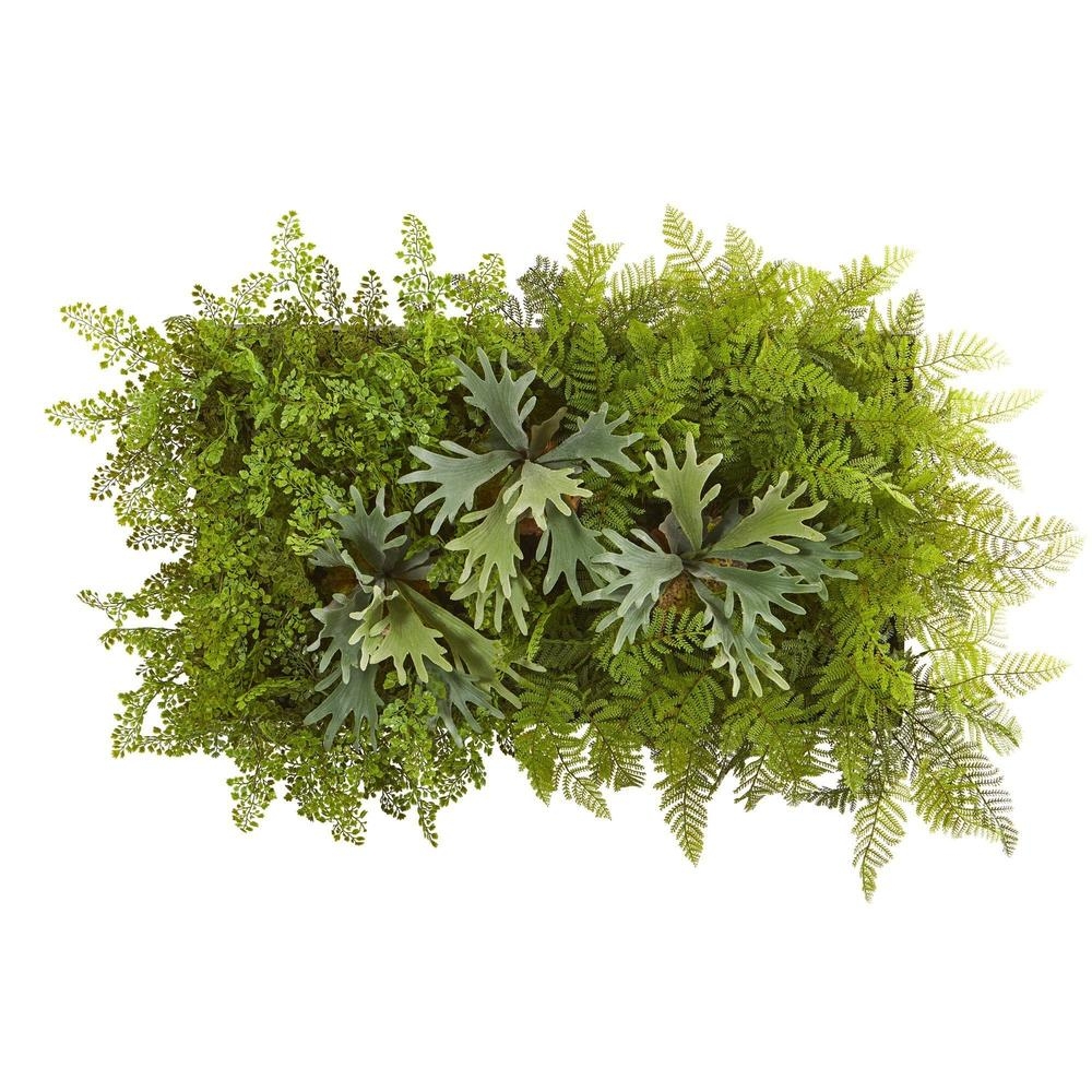 38 x 23” Staghorn and Fern Artificial Living Wall - Image 0