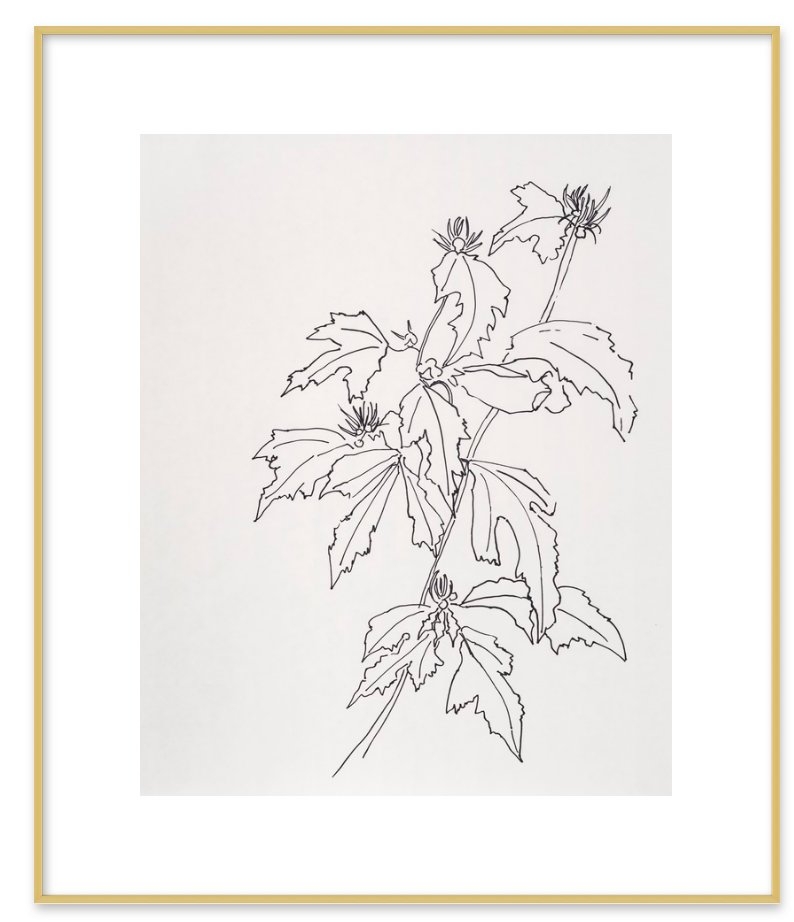 Leaves Rose of Sharon, Gold Metal Frame, 20" x 24" - Image 0