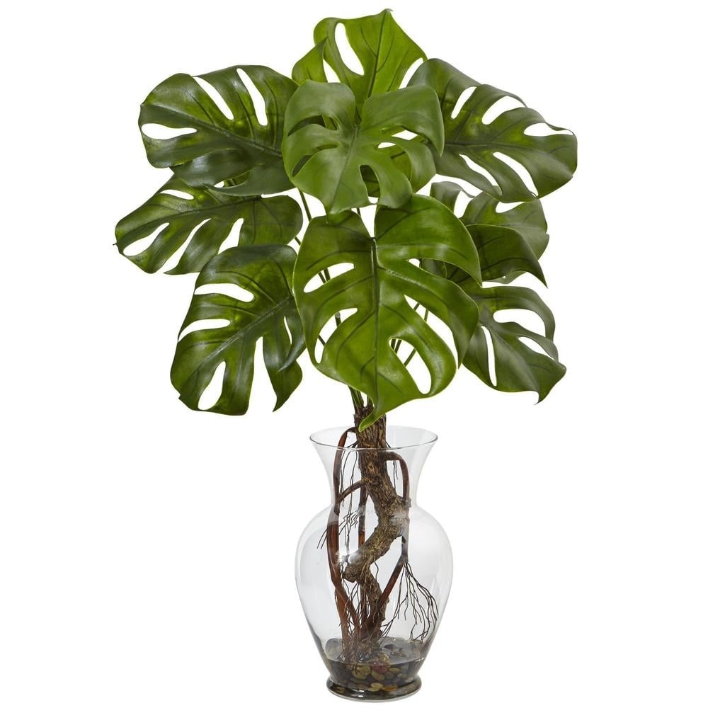 Monstera Plant with Vase - Image 0