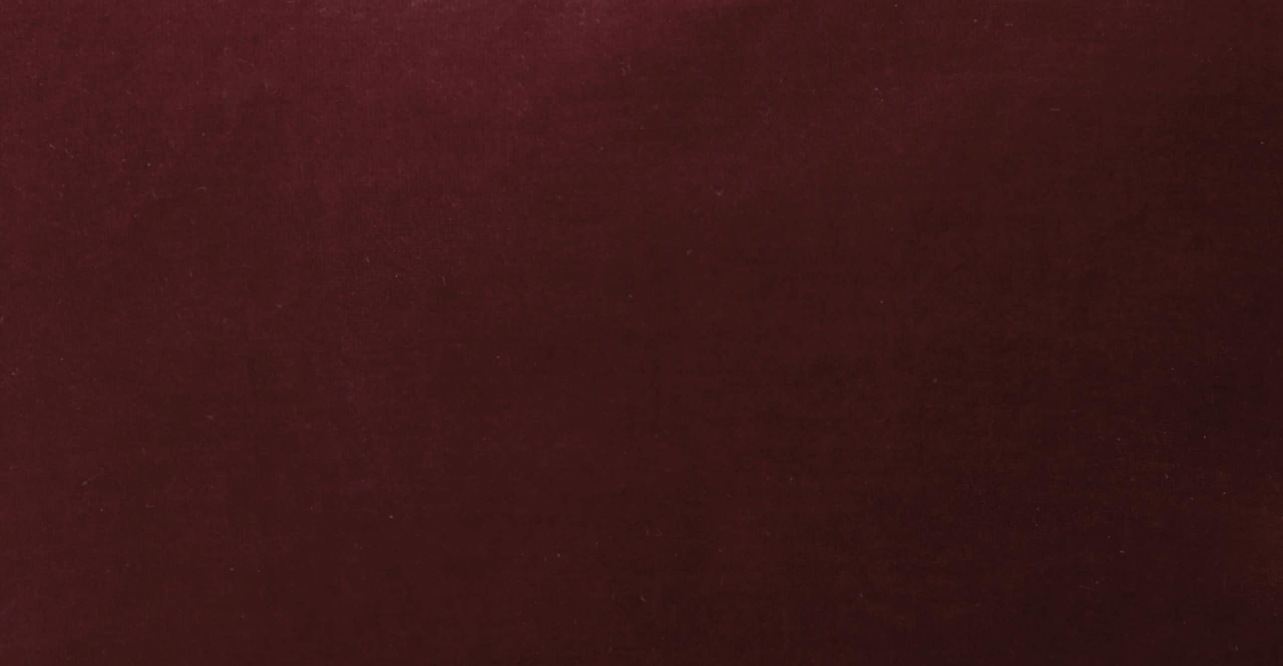 Lucca Garnet Red Pillow Set - Image 6