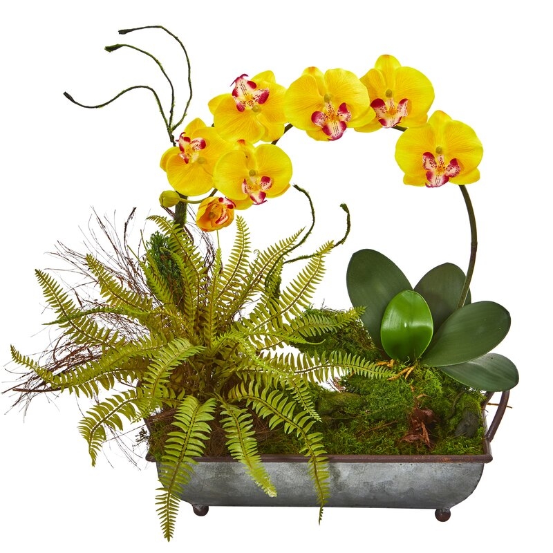 Phalaenopsis Orchid and Fern Artificial Mixed Floral Arrangement in Tray Planter - Image 0