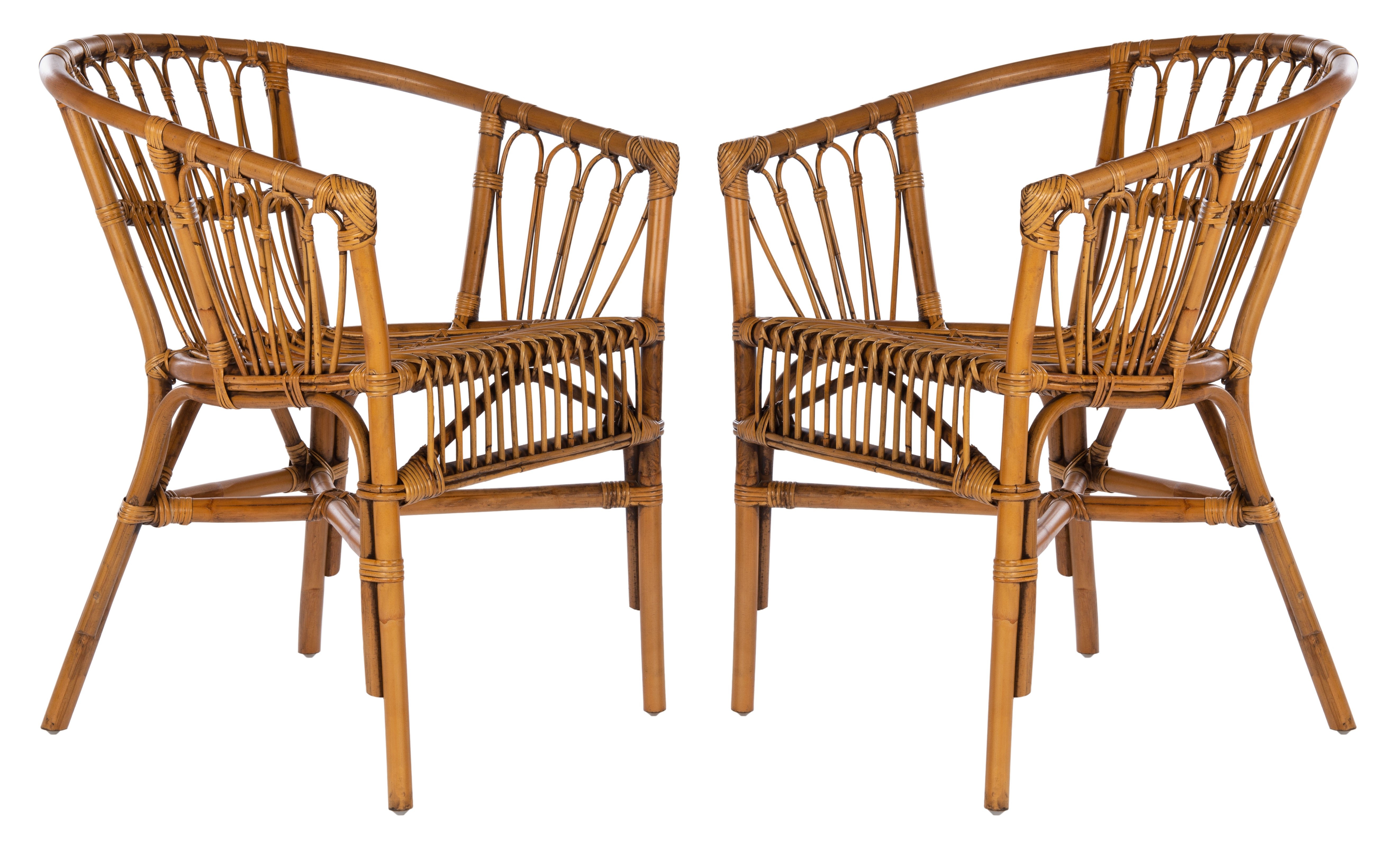Adriana Rattan Accent Chair - Honey Brown Wash - Arlo Home - Image 0