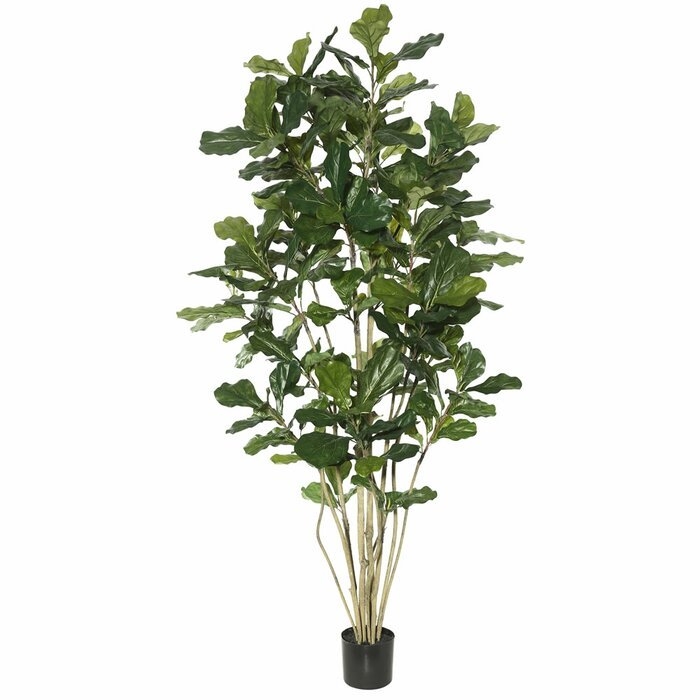 Artificial Potted Fiddle Foliage Tree in Pot - Image 0