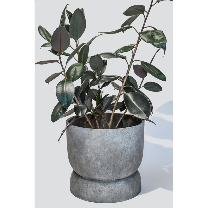 The Rona Planter by Hilton Carter - Image 2