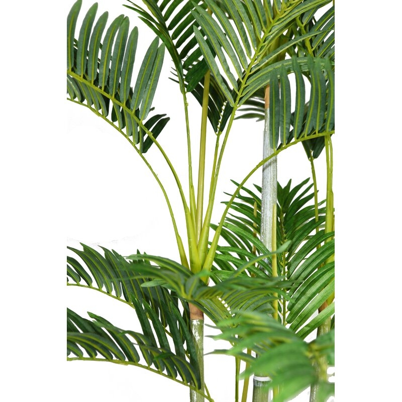Palm Tree Plant in Pot - Image 4