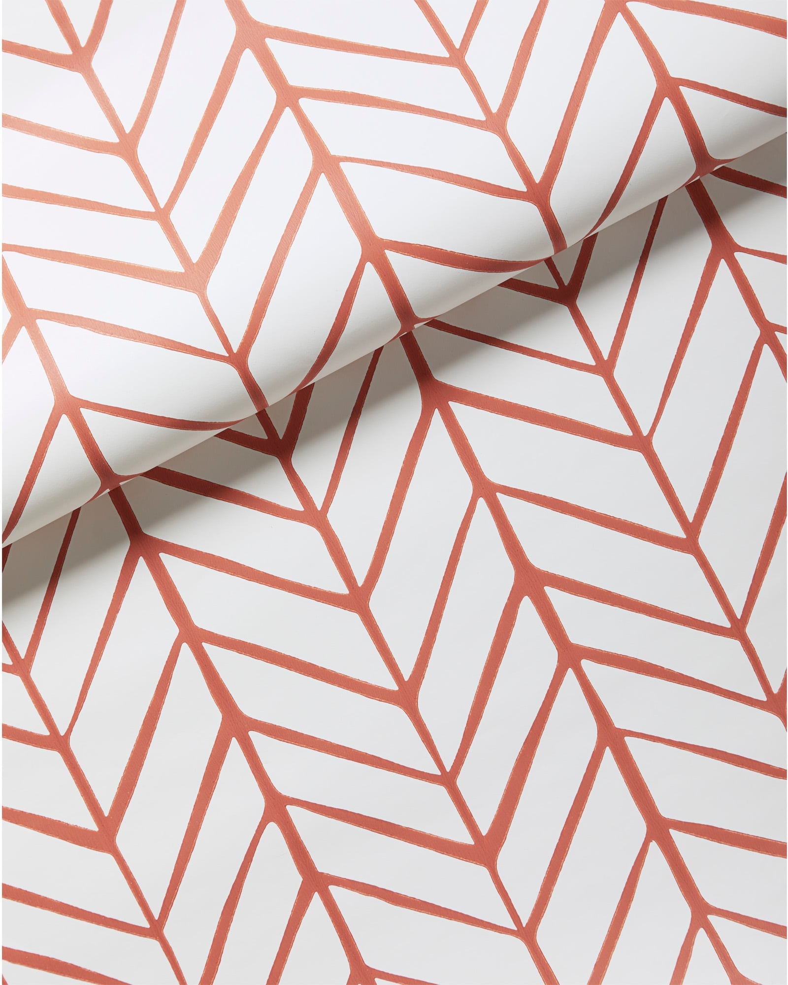 Feather Wallpaper - Coral - Image 0