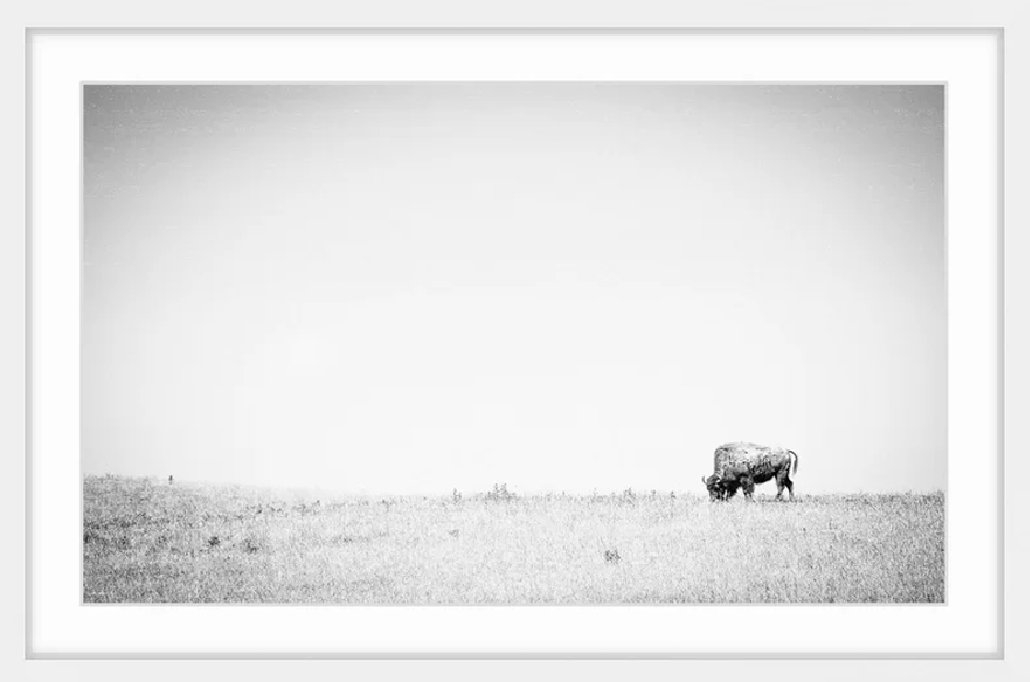 'Distant Grazing' Framed Photographic Print on Paper 24"x36" - Image 0
