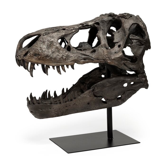 Tyrannosaurus Bust - Image 0