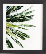 BEVERLY HILLS PALM TREE Black Framed Wall Art By Chelsea Victoria - Image 0