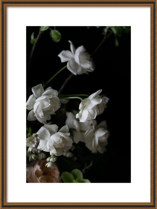 floral study,20" x 28", with mat,  Black Gold Reverse Wood, frame width 1", depth 1.125" - Image 0