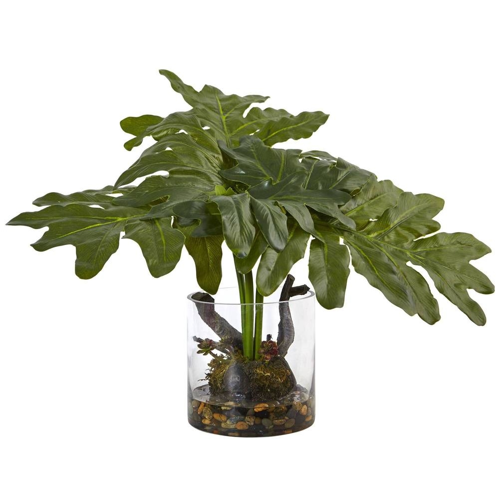 Philodendron Arrangement with Vase - Image 0