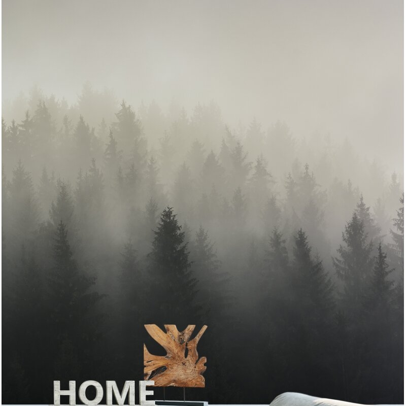 Baez Misty Foggy Pine Wall Mural - Image 0