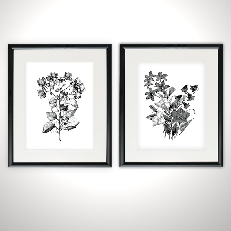 'Botanical Black and White' 2 Piece Framed Acrylic Painting Print Set - Image 1