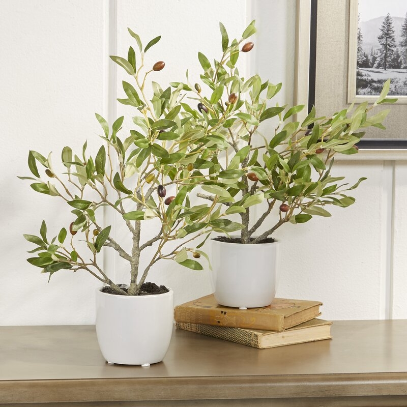 Olive Silk Desk Top Plant in Pot, Set of 2 - Image 0