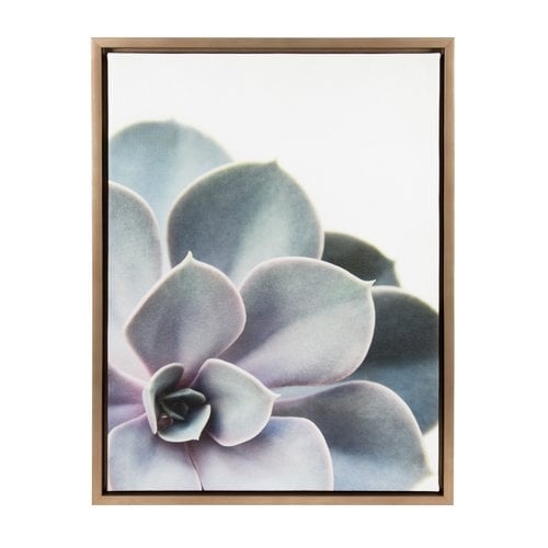 Sylvie Gold Succelent 5 by Emiko and Mark Franzen - Picture Frame Photograph Print on Canvas - Image 0