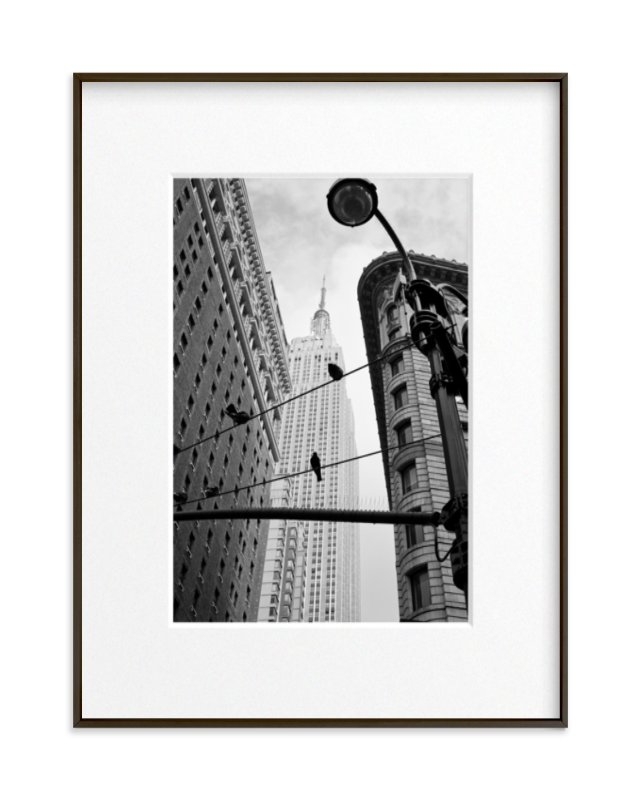 Birds of New York  // 18" x 24" // Matte Black Frame // Matted // Black - Image 0