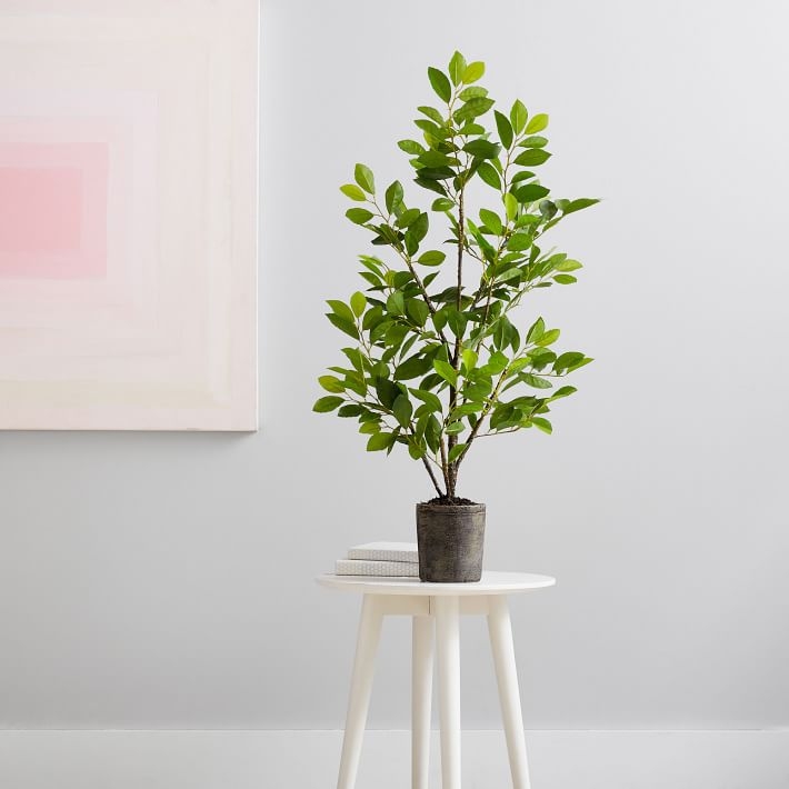 Ficus Tree Faux Plant, 3' - Image 1
