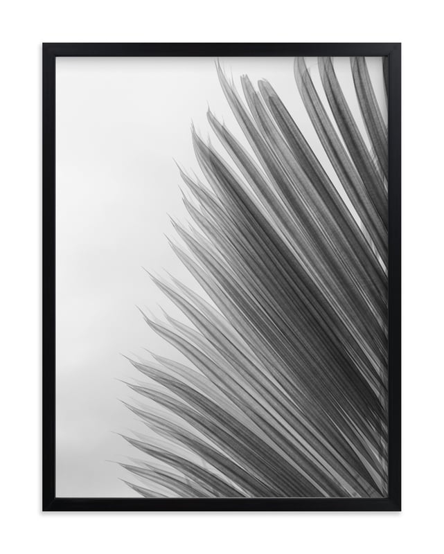 Palm leaves 1 - Image 0