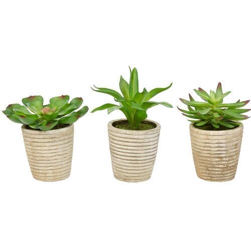 Artificial Succulent Plant in Pot - Image 0