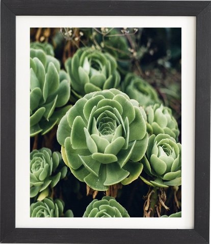 succulent green, Black Frame, 8 x 9.5" - Image 0