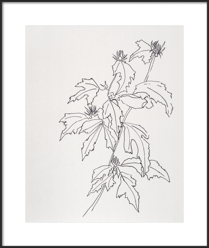 Leaves Rose of Sharon - Image 0