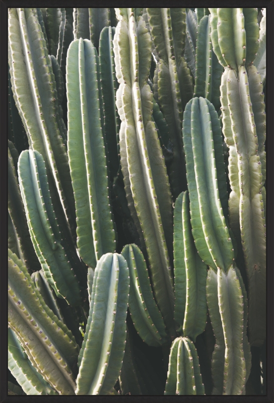 Southwest Cactus - 10" X 14" - Contemporary - Matte Black Metal, frame width 0.25", depth 0.75" - Image 0