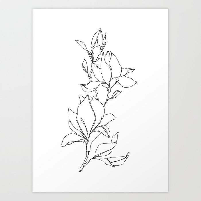 Botanical illustration line drawing - Magnolia Art Print - Mini 8" X 10" - Image 0