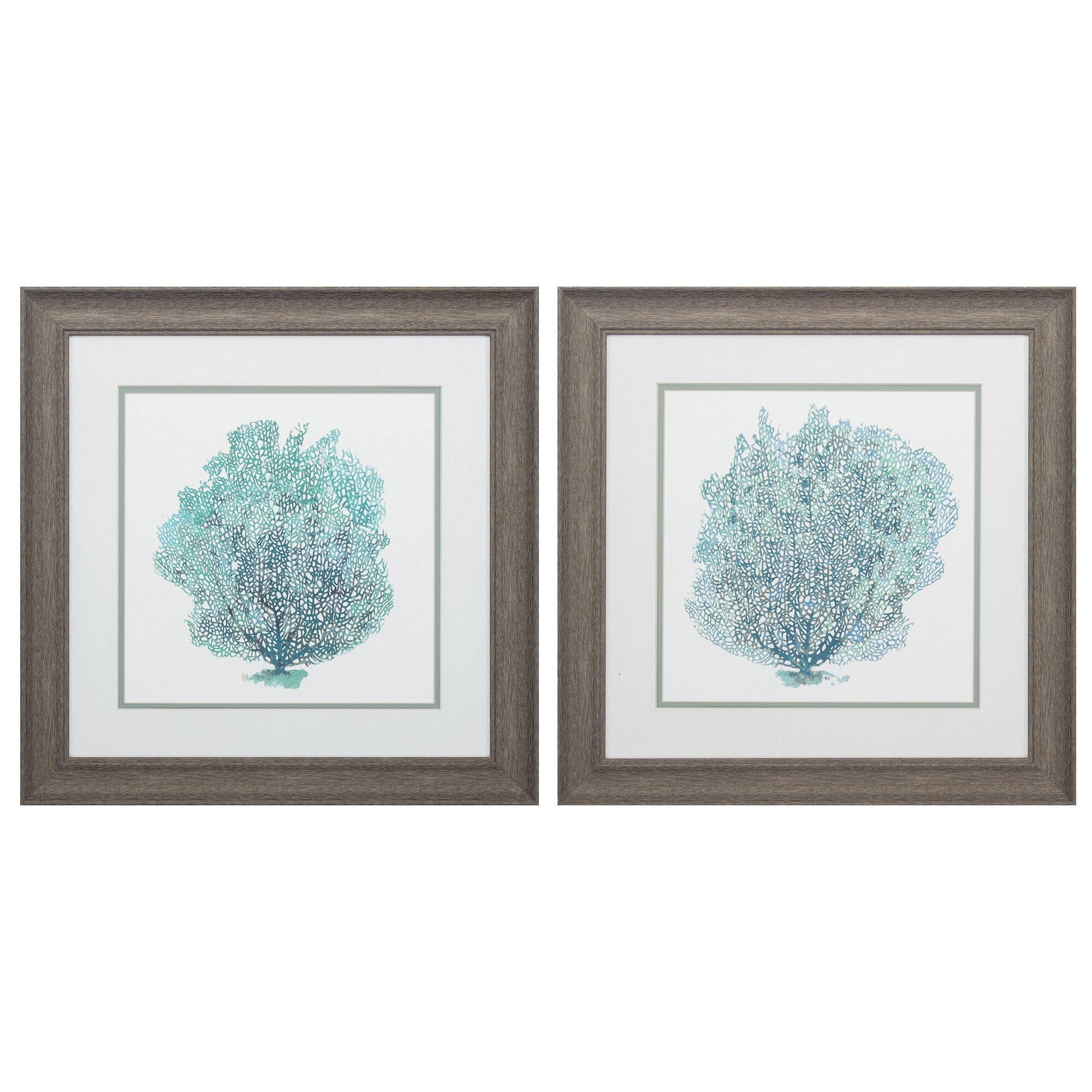 'Teal Coral On White' - 2 Piece Picture Frame Painting Print Set - Image 0
