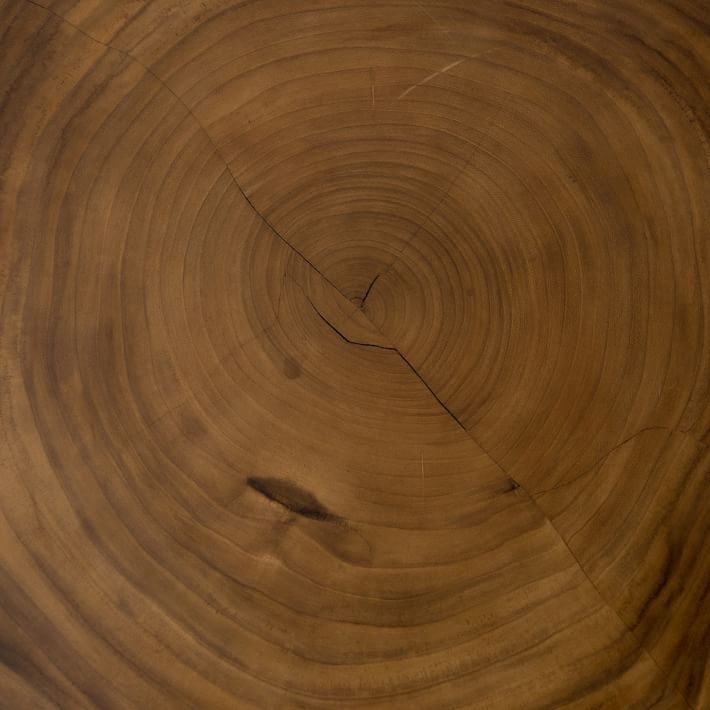 Natural Wood Round Coffee Table, Guanacaste, Iron, Blonde - Image 6