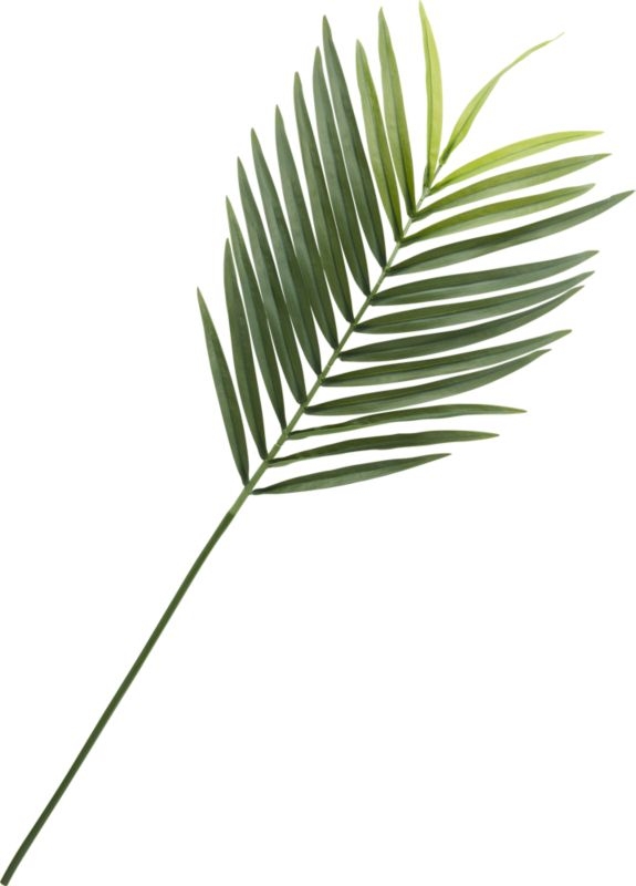 Faux Phoenix Palm Leaf 44" - Image 1