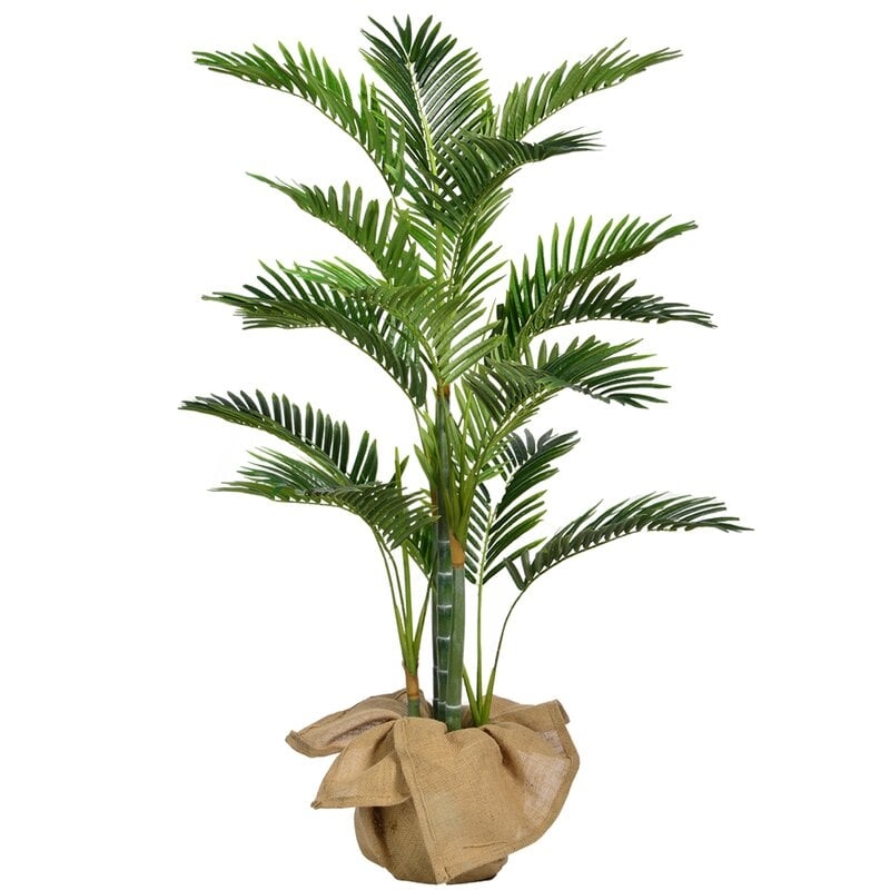 Palm Tree Plant in Pot - Image 0