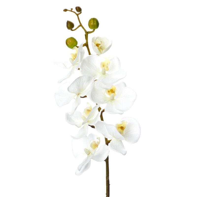 Phalaenopsis Faux Orchid Spray (Set of 12) - Image 0