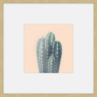 'Green Cacti' Framed Photographic Print - Image 0