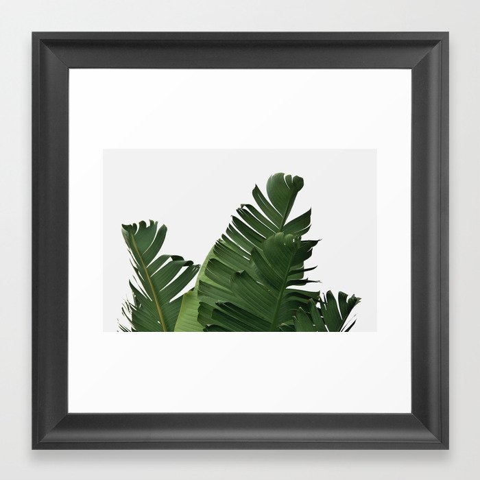 Minimal Banana Leaves Framed Art Print - 12"x12" - Scoop Black - Image 0