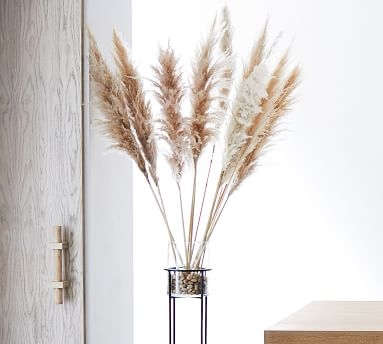 Dried Pampas Grass Branches, Natural - Set of 3 - Image 2