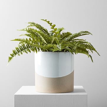 Faux Botanicals, Potted Fern (Planter Sold Seperately) - Image 0