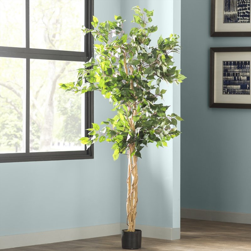 Artificial Ficus Tree in Planter - Image 2