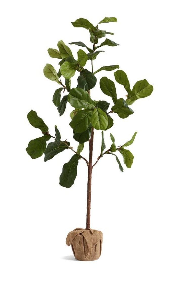 Faux Potted Fiddle Leaf Fig Tree, Medium, 5.4' - Image 0